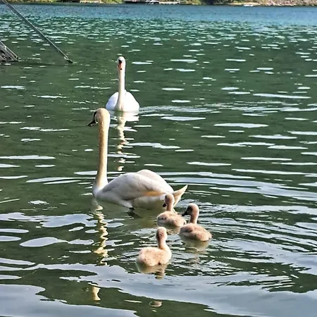 Parkhotel Zuzek Otel 3*