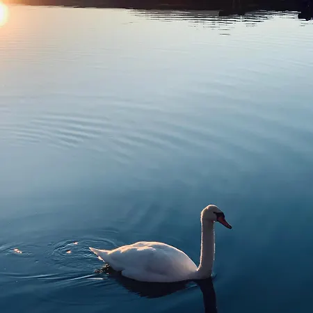 Parkhotel Zuzek סנט קנזיאן