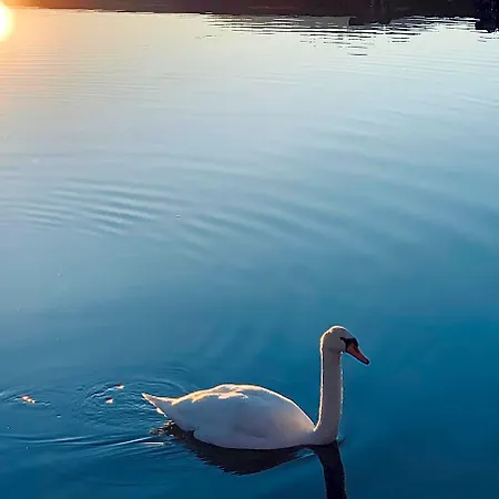 Parkhotel Zuzek Ξενοδοχείο