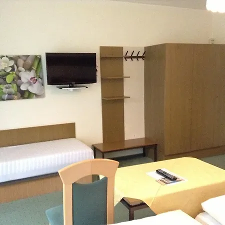 Hotel Parkhotel Zuzek 3*