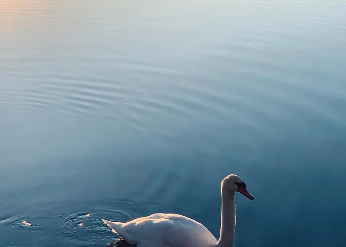 Parkhotel Zuzek Sankt Kanzian am Klopeiner See