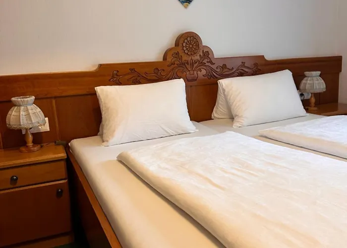 Parkhotel Zuzek מלון 3*